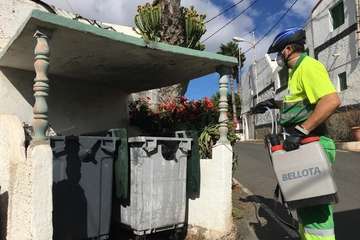 Telde duplica los servicios de limpieza y desinfección en el casco y barrios (Foto TA)